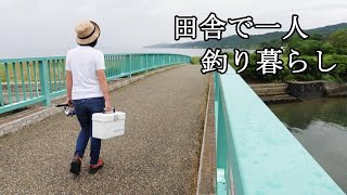 田舎で一人釣り暮らし！小さい庭の一坪農園と初夏の漁港