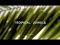 Tropical Jungle - Kids Summer 17 Film