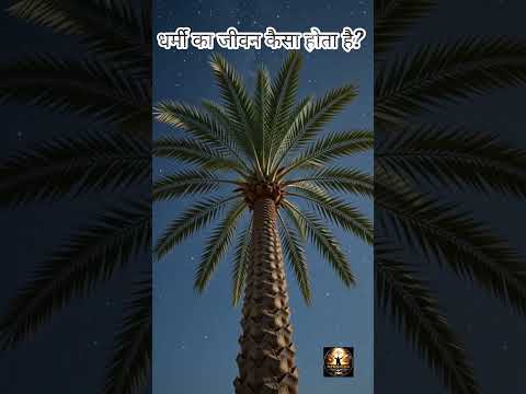 परमेश्वर ने धर्मी की तुलना खजूर और देवदार से क्यों की? #biblefacts #motivation #viralshort #aivideo