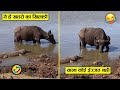 ईसकी हरकत देख मगरमच्छ सदमे मे आ गया 😂🤣 Animal moment cought on camera part-9