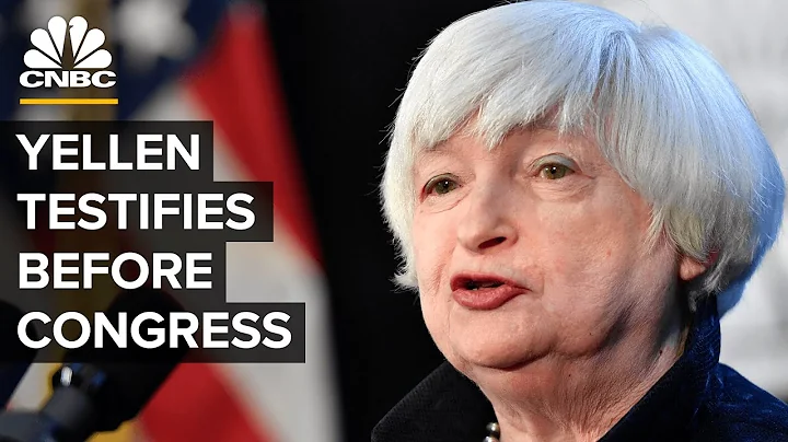 Treasury Secretary Janet Yellen testifies before H...