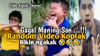 Random video Koplak Gagal Maning Son ...!!!🤣🤣🤣