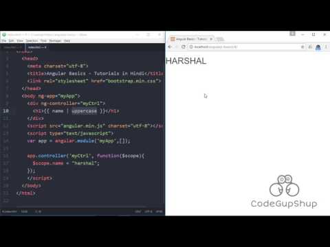 04 Understanding filters in Angularjs |  Tutorials in hindi