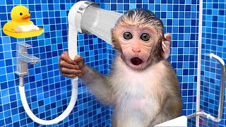 Video-Miniaturansicht von „Monkey Baby Bon Bon Bathing In The Bathroom With Eating Fruit With Ducklings Side Swimming Pool“