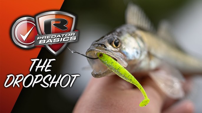 Dropshot and Lure Fishing for Perch - FULL GUIDE 