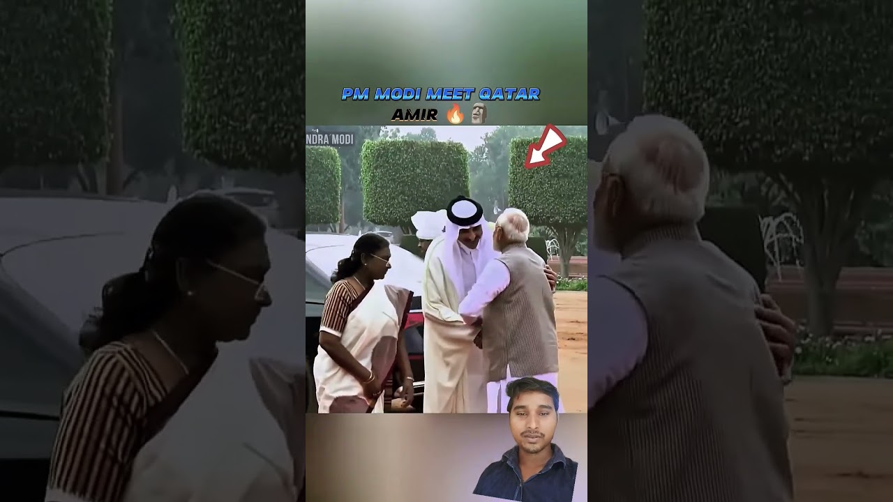PM NARENDRA MODI MEET QATAR AMIR IN INDIA 