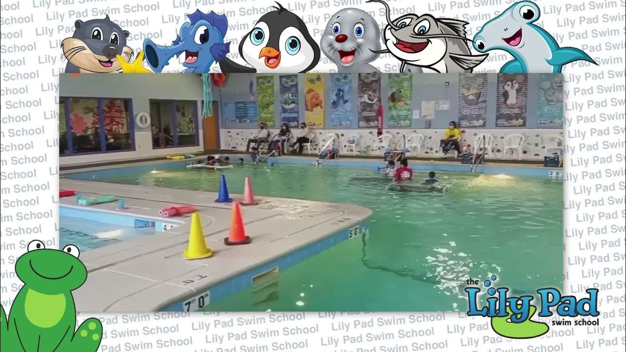 Start Swimming Today! Lily Pad Swim School! 