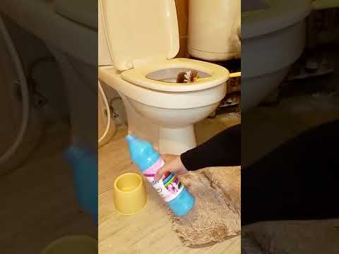 فيديو: كيفية تنظيف حمام الأكريليك؟ نصائح وخدع