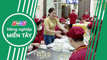 Xây dựng thương hiệu, đẩy mạnh xuất khẩu sản phẩm OCOP | Nông nghiệp Miền Tây