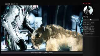 【Warframe 】MODが出るまで帰れまTENNO【PS4 share配信】