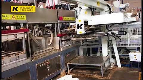 Pulp Mold Machine Integrator