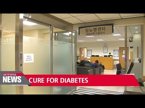 researchers-find-clue-to-cure-for-type-one-diabetes-by-manipulating-inner-cells-in-pancreas