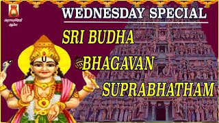 WEDNESDAY SPL | THIRUVENKADU | SRI BUDHA BHAGAVAN SUPRABHATHAM | BUDHA PARIHARA STHALAM | NAVAGRAHAM