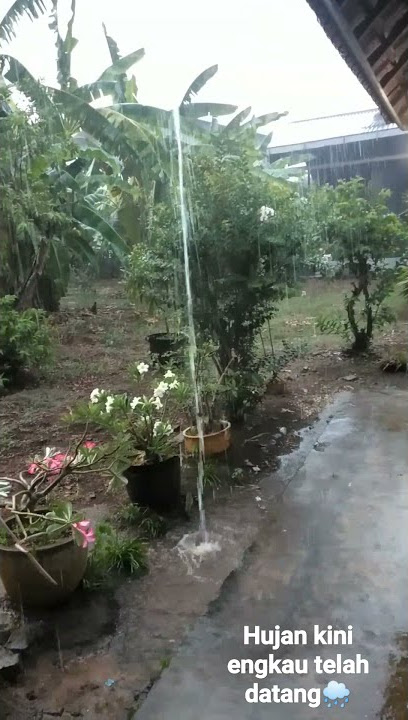 Hujan Kini engkau telah datang🌧️