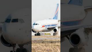 El avión que aterrizó sin motores y la cadena de decisiones que lo salvó