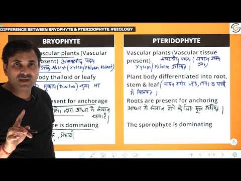 Difference between Bryophyte & Pteridophyte - Vigyan Express #144 | DR. N.S. JAIN