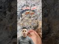 واحدة من أغنى الإشارات إشارة جرن القفل واحدة من أغنى الإشارات إشارة جرن القفل