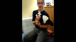 Scentsy's Shu Shu the Panda 🐼 buddy