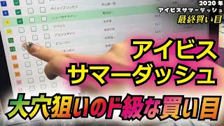 【大穴買い目発表！】アイビスサマーダッシュ直前最終買い目【１００万馬券を獲る！】