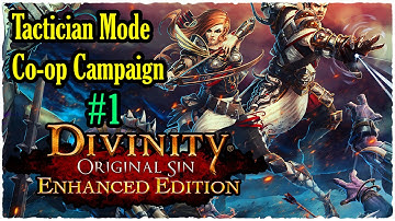 Divinity: Original Sin - InkEyes Let