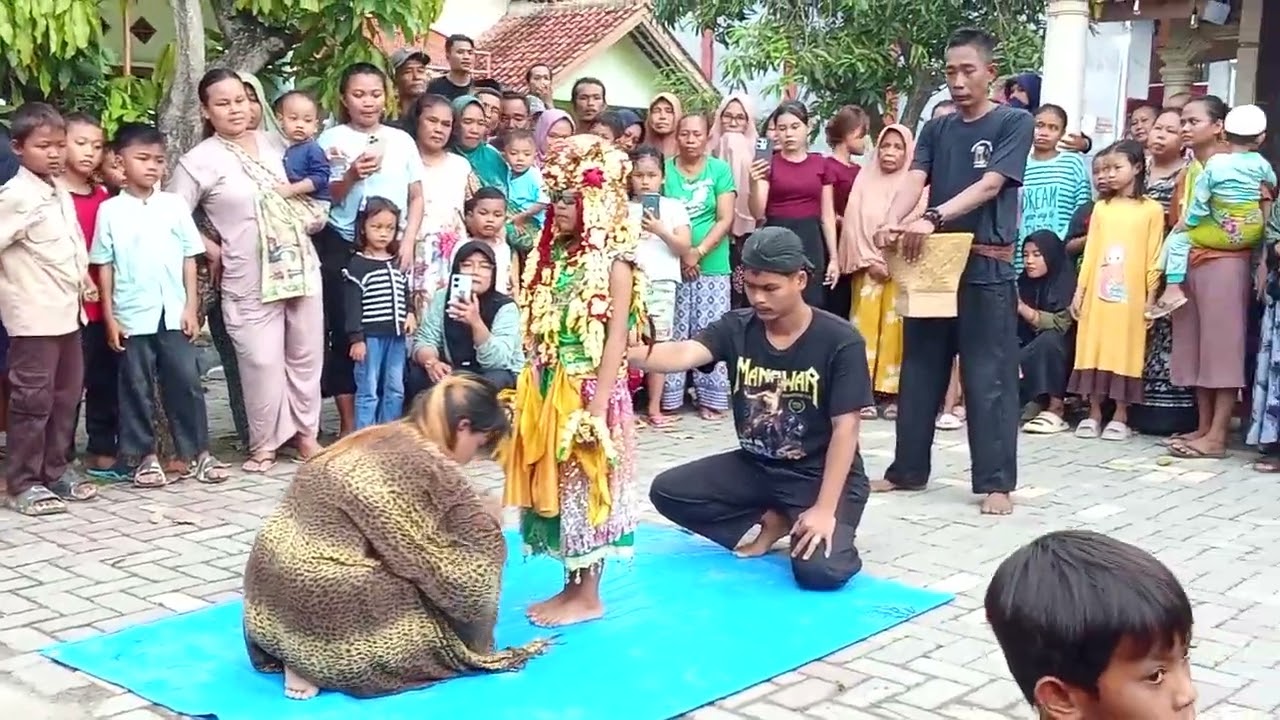 sintren cilik live streaming di desa bulakparen 22/11/2024