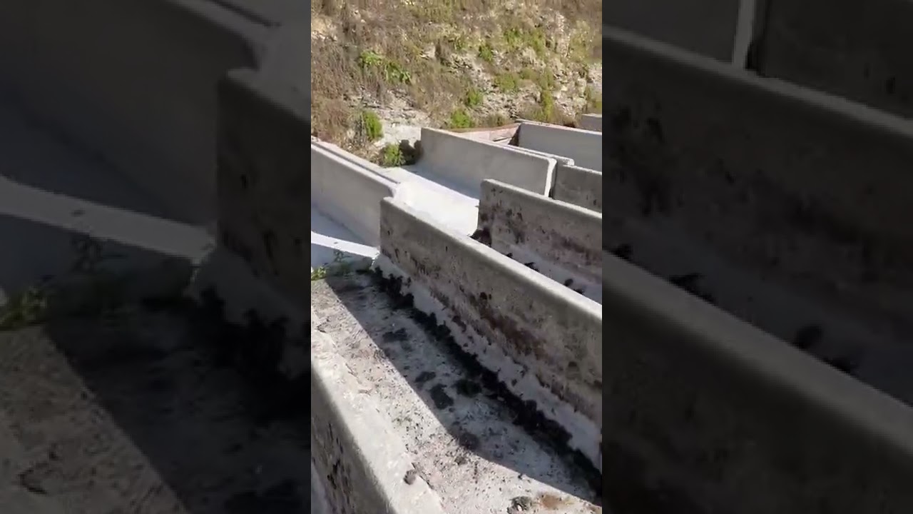 Churchill Dairy Ltd On Farm Sale - Saturday 5th November - Live & Online