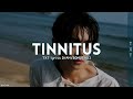 Txt  tinnitus lyrics hanromeng