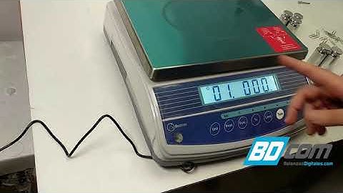 Balanza industrial Baxtran BW