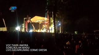 New Pallapa Tiara Amora Bulan Madu  Dadapkuning Cerme Gresik 2019