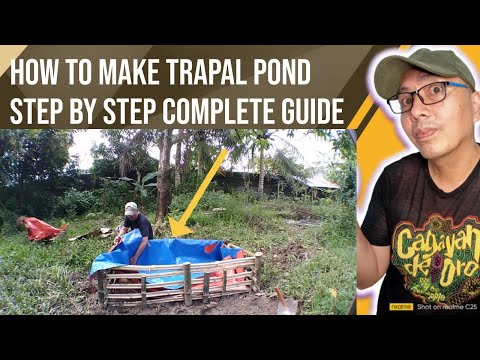 How to make trapal pond complete guide