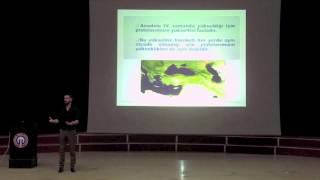 Coğrafya Sunum Complete Bayram Meral 2015