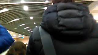 捷運板南土城線往南港展覽館方向路線捷運路程搭乘記錄與載客實況攝影(西元2019年01月28日)亞東醫院→西門