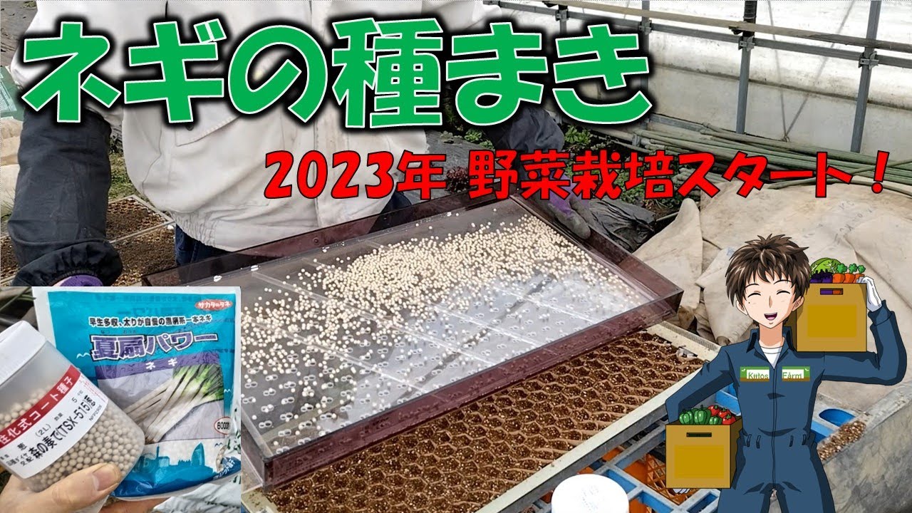 【ネギの種まき】2023年もネギから始まる1年に！