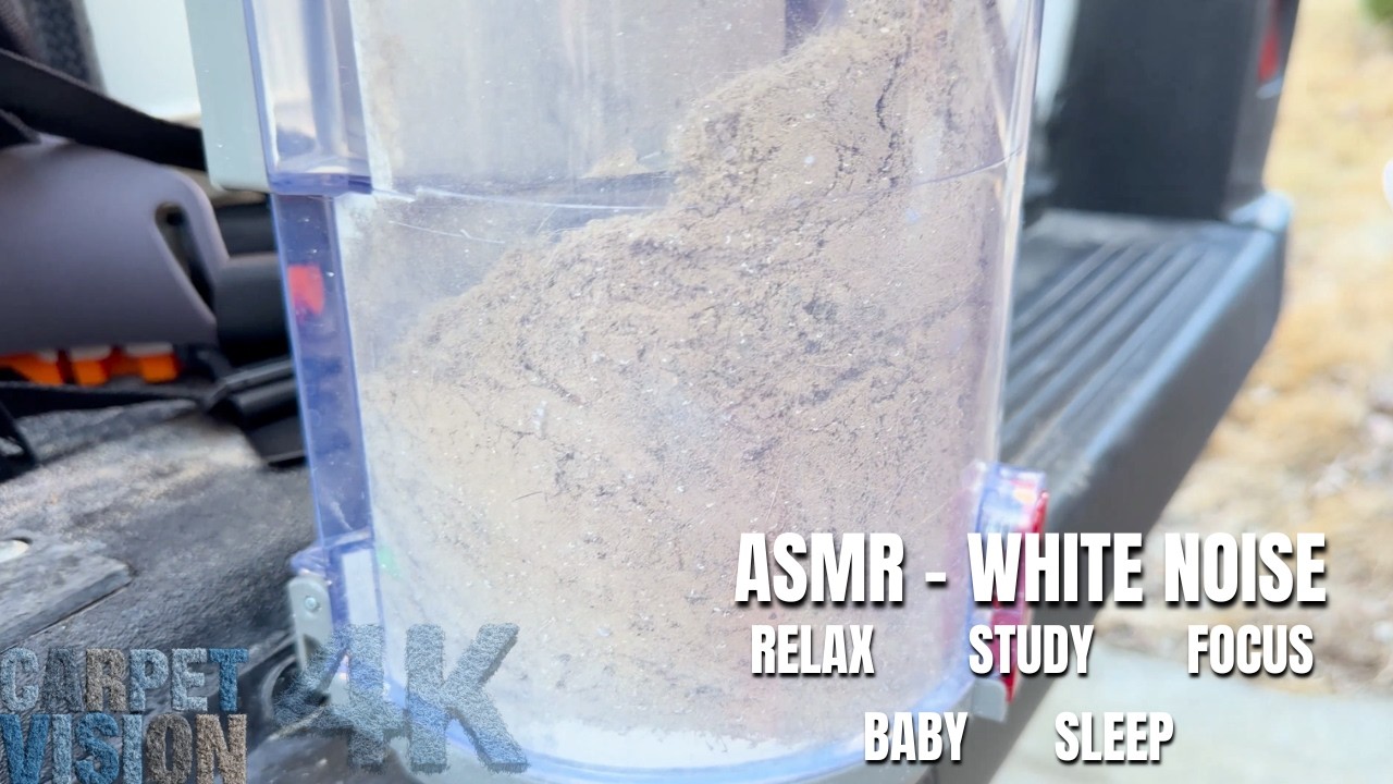 ASMR Carpet Cleaning | Cane Corso??? SAY LESS (Sleep Now)