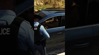 LSPDFRJustdoingmyjoboneticketatatime