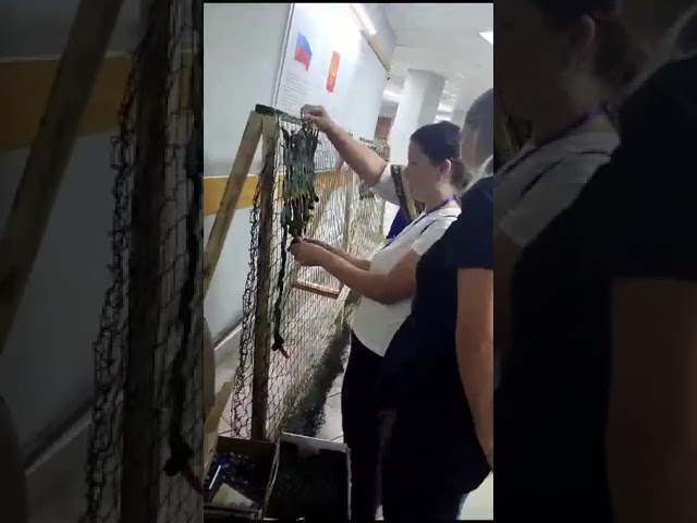 Видео КРИРПО