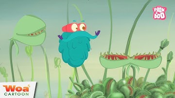 Khám Phá Bí Ẩn Về Những Loài Thực Vật Ăn Thịt | Cây Ăn Thịt | Phim hoạt hình Hay Nhất 2020