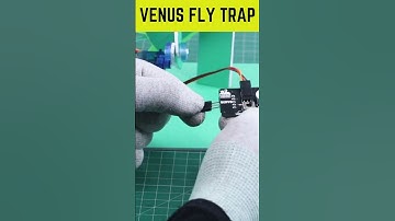 Make this American Wild Hunter at home with Witblox