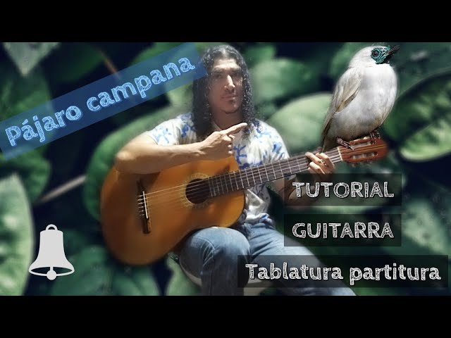 GUITARRA COMO TOCAR: pájaro campana - guyra campana - tutorial punteo ritmo  + partitura tablatura - YouTube