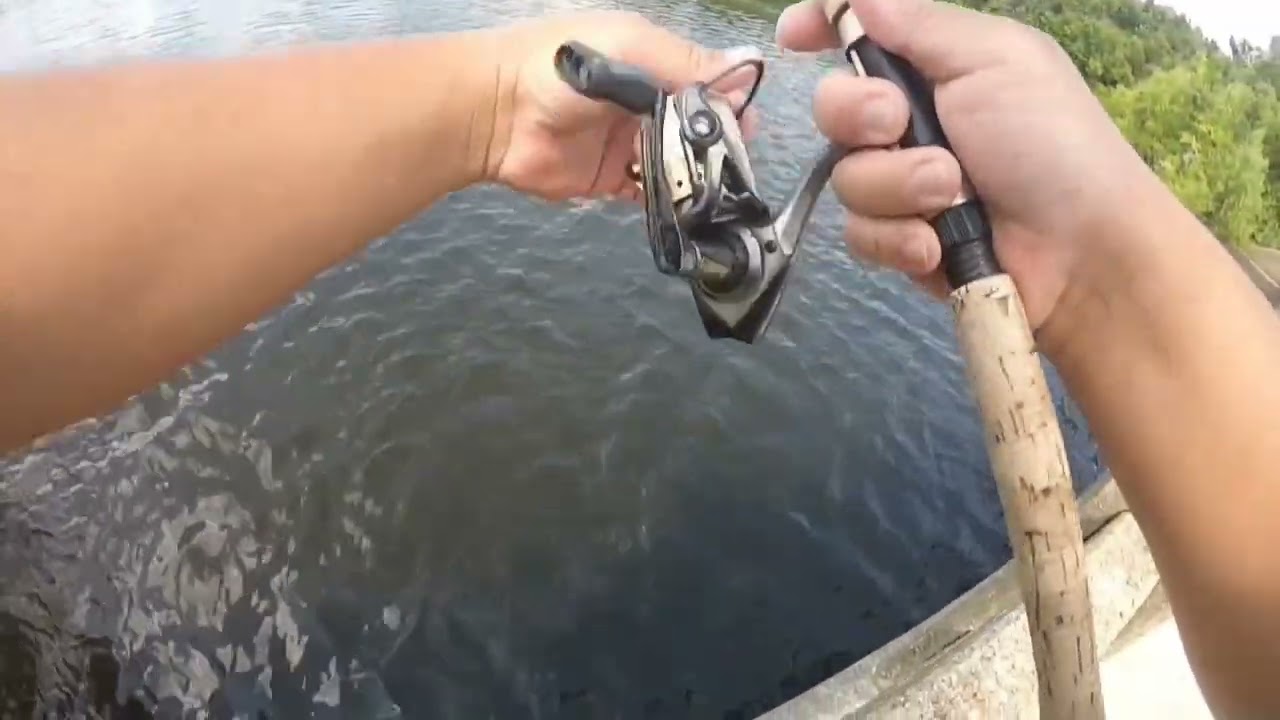 Bass Fishing, How to NOT Catch Em All #bass #bassfishing #outdoors