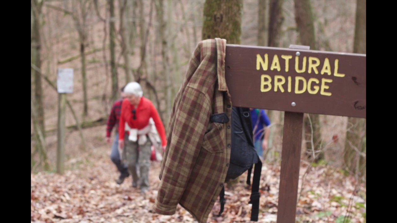 Wayne National Forest