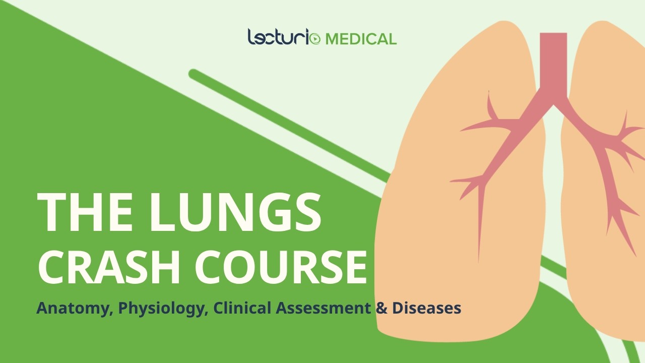 Learn the Lungs from Start to Finish 🫁 High-Yield Medical Crash Course