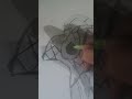 draw spiderman #please #like ##subscribe
