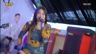 IKA JULIA - CAMELIA 2 ' SCOBYDOO MUSIC WEDDING AUFA & A'ISAH ' live HARIPOLO