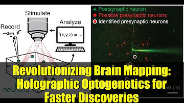 Revolutionizing Brain Mapping: Holographic Optogenetics for Faster Discoveries