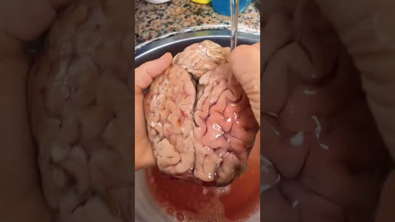Daha Önce Beyin Yediniz Mi?