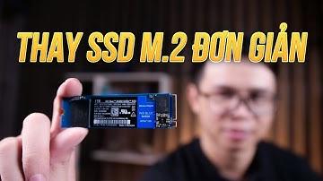 Cấu trúc trong laptop có gì | Thay SSD M2 WD SN550 cho Laptop
