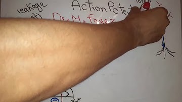 Nerve new system (Action potential) dr mohamed fayez