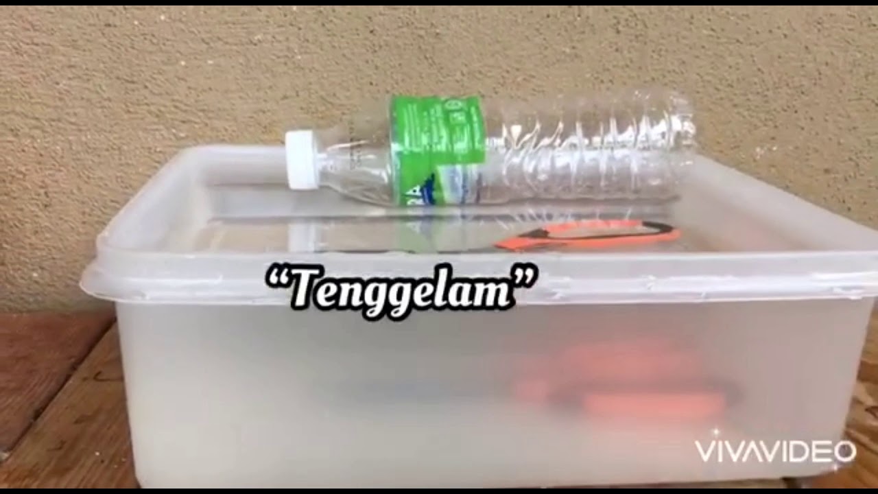 Eksperimen Tenggelam Dan Timbul Youtube
