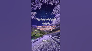 سورة البقرة من الآية 11 إلى الآية 13